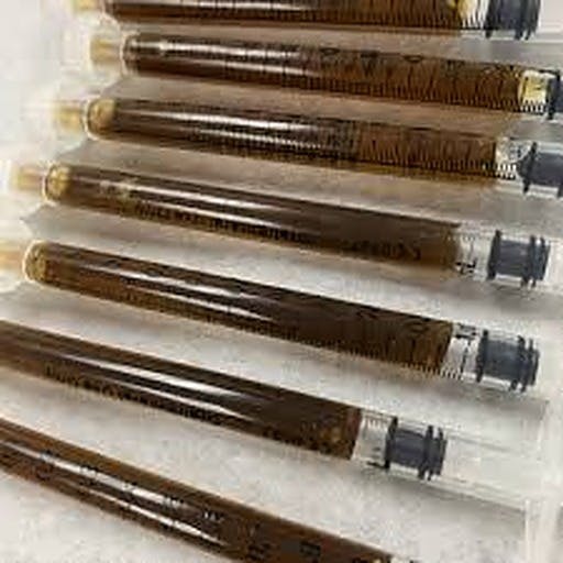 Gelato Cake Activated CO2 Hash Oil, 1g